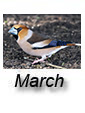 March 2025